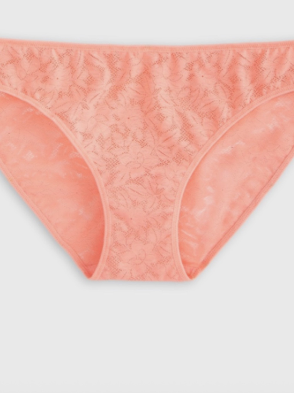 State of Day Women's Mesh Lace Bikini Underwear Blushing